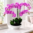 thumbnail image 3 of Artificial 20" Orchid in White Ceramic Planter, Assorted Colors, 3 of 5