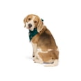 thumbnail image 3 of Character Pet Family Sleep, 3 of 7