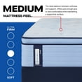 thumbnail image 4 of Sealy Posturepedic Plus Redhill Euro Pillow Top Mattress (Available in Firm, Medium and Soft), 4 of 12