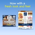 thumbnail image 4 of Glade PlugIns Scented Oil, Cashmere Woods with Sheer Vanilla Embrace, 1 Warmer + 9 Refills, 4 of 11