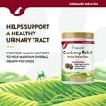 thumbnail image 4 of NaturVet, Cranberry Relief Plus Echinacea Soft Chews for Dogs, 120 ct., 4 of 9