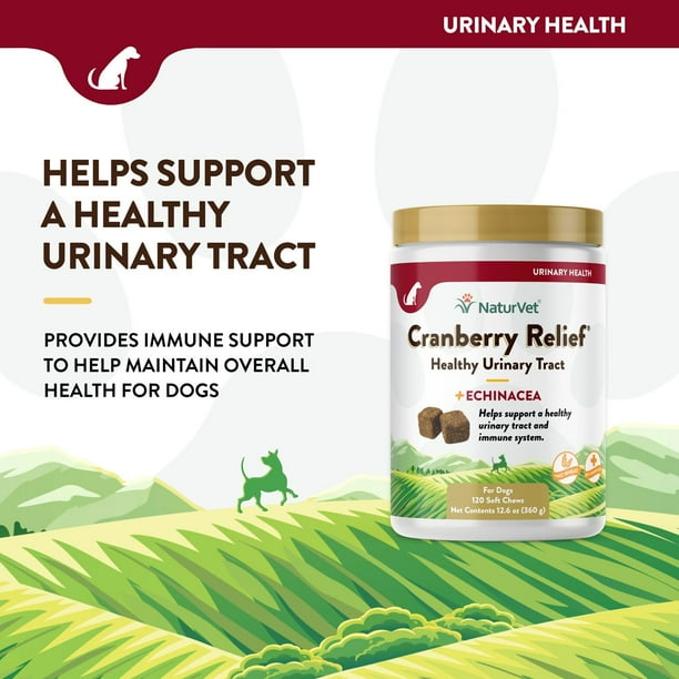 NaturVet, Cranberry Relief Plus Echinacea Soft Chews for Dogs, 120