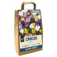 thumbnail image 1 of Member's Mark Crocus Mix Dormant Bulbs, 75pk, 1 of 9