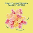 thumbnail image 4 of BEHAVE Sour Bears Mini Packs, 10 pk., 4 of 8