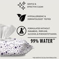 thumbnail image 6 of Member's Mark Premium Baby Wipes, Fragrance Free, 12 pk., 1152 Wipes, 6 of 12