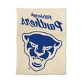 thumbnail image 2 of Logo Brands Pittsburgh Panthers Luxe Dreams Throw, 60" x 80", 2 of 6