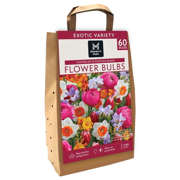 Member's Mark Center of Attention Blend Freesia, Ranunculus, Daffodil and Tulip Dormant Bulbs, 60pk
