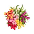 thumbnail image 1 of Member's Mark Tulips, 50 stems, 1 of 2