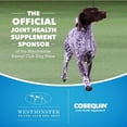 thumbnail image 7 of Nutramax Cosequin Maximum Strength Joint Health Dog Supplement with MSM and Hyaluronic Acid, 180 ct., 7 of 11
