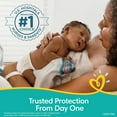 thumbnail image 4 of Pampers Swaddlers Diapers (Choose Your Size), 4 of 10