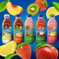 thumbnail image 5 of Snapple Tea Variety Pack, 20 fl. oz., 24 pk., 5 of 9