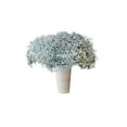 thumbnail image 2 of Member's Mark Enhanced Gypsophila, choose color and stem count, 2 of 5