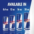 thumbnail image 9 of Red Bull Energy, 16 fl. oz., 12 pk., 9 of 11