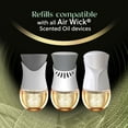 thumbnail image 5 of Air Wick Vibrant Scented Oil, Assorted Fragrances (2 Warmers + 7 Oils), 5 of 6