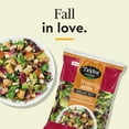 thumbnail image 5 of Taylor Farms Honey Apple Salad Kit, 10.75 oz., 5 of 5