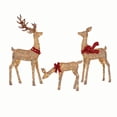 thumbnail image 2 of Member's Mark Pre-Lit Animated Deer Family, Set of 3, 2 of 7
