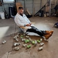 thumbnail image 4 of Garage Beer Lime and Light Lager Beer Variety Pack, 12 fl. oz. can, 24 pk., 4 of 6