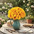 thumbnail image 7 of Member's Mark Gerbera Daisies, choose color and stem count, 7 of 8