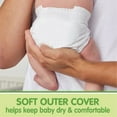 thumbnail image 4 of Member's Mark Premium Baby Diapers (Choose Your Size), 4 of 14