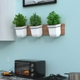 thumbnail image 3 of Mayne Valencia 8" Wall Mount Planter, Set of 3, 3 of 10