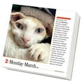 thumbnail image 3 of Cats Page-A-Day 365 2026 Calendar, 3 of 5