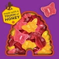 thumbnail image 5 of Annie's Organic Bees, Bugs & Butterflies Fruit Flavored Snacks 0.7 oz., 50 pk., 5 of 8