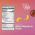 thumbnail image 2 of Ugly Fruit Dried White Peaches & Plums, 20 oz., 2 of 6