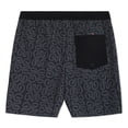 thumbnail image 9 of Quiksilver Men's Swim Trunks, 9 of 23