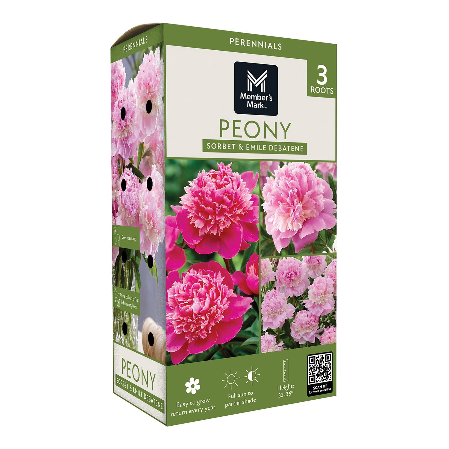 Member's Mark Lily Oriental Blend Dormant Bulbs, 16pk - Samsclub.com