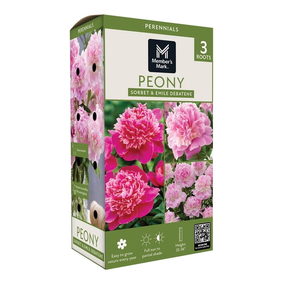 Member's Mark Double Peonies Sorbet & Emile Debatene Dormant Bulbs, 3pk