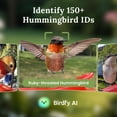 thumbnail image 2 of Birdfy Solar Powered Smart Hummingbird Feeder w/ AI Recognition, 2 of 12