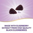 thumbnail image 6 of Nature's Way Sambucus Elderberry Immune Gummies, 120 ct., 6 of 11