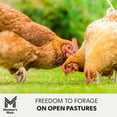 thumbnail image 7 of Member’s Mark Pasture Raised Organic Grade A Large Brown Eggs, 1.5 dozen, 7 of 8