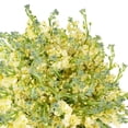 thumbnail image 5 of Member's Mark Stock, 100 stems, choose color, 5 of 7