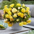 thumbnail image 5 of Member's Mark Begonia Pendula Cascade Dormant Bulbs, 9pk, 5 of 9