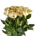thumbnail image 3 of Member's Mark Illusion Roses, 12 stems, 3 of 5