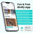 thumbnail image 7 of Birdfy Solar Powered Nest Smart Bird House with Camera, 7 of 8