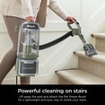 thumbnail image 8 of Shark Detect Lift-Away ADV Upright Vacuum with DuoClean Detect, 8 of 15