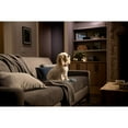 thumbnail image 3 of Cync Indoor WiFi Smart Camera, 2pk, 3 of 3