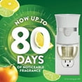 thumbnail image 3 of Air Wick Plug In Scented Oil Air Freshener Refills, Bright Citrus, 9 refills, 3 of 11