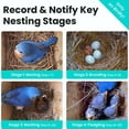 thumbnail image 5 of Birdfy Solar Powered Nest Smart Bird House with Camera, 5 of 8