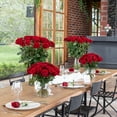 thumbnail image 7 of Member's Mark Ecuadorian Premium Roses, choose color variety and stem count, 7 of 9