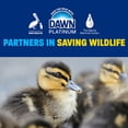 thumbnail image 6 of Dawn Platinum Dishwashing Liquid Dish Soap, Refreshing Rain, 90 fl. oz., 6 of 8