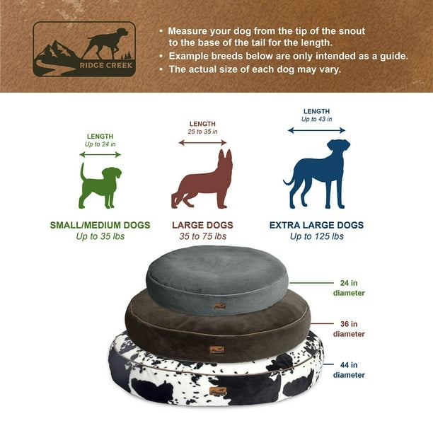 Why Weight Alone Does Not Determine Bed Size