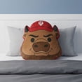 thumbnail image 2 of Logo Brands Indiana Hoosiers Puff Pillow, 2 of 5