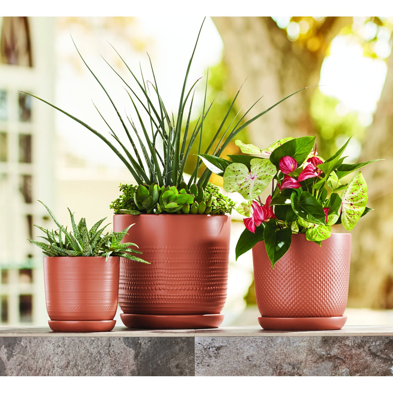 Member's Mark 3-Pack Ceramic Planters with Saucers - Samsclub.com