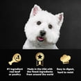 thumbnail image 3 of Cesar Filets in Gravy Wet Dog Food Steak and Poultry Variety Pack, 3.5 oz., 48 ct., 3 of 9