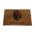 thumbnail image 1 of Logo Brands Montana Grizzlies Doormat, 1 of 5