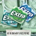 thumbnail image 5 of Extra Mint Sugar Free Chewing Gum, Variety Pack, 15 pcs., 20 pk., 5 of 8
