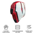 thumbnail image 3 of Logo Brands Wisconsin Badgers XL Puff Pillow, 3 of 5